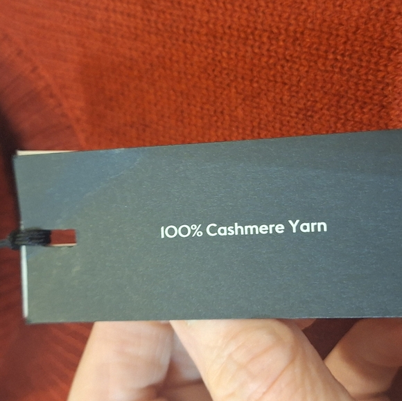 Aritzia Babaton Cashmere 100% Turtleneck Sweater Oversized Burnt Orange Medium - Picture 11 of 12